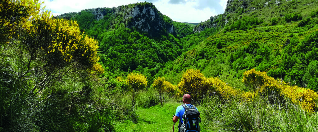 immagine di copertina Cammino di S. Francesco di Paola