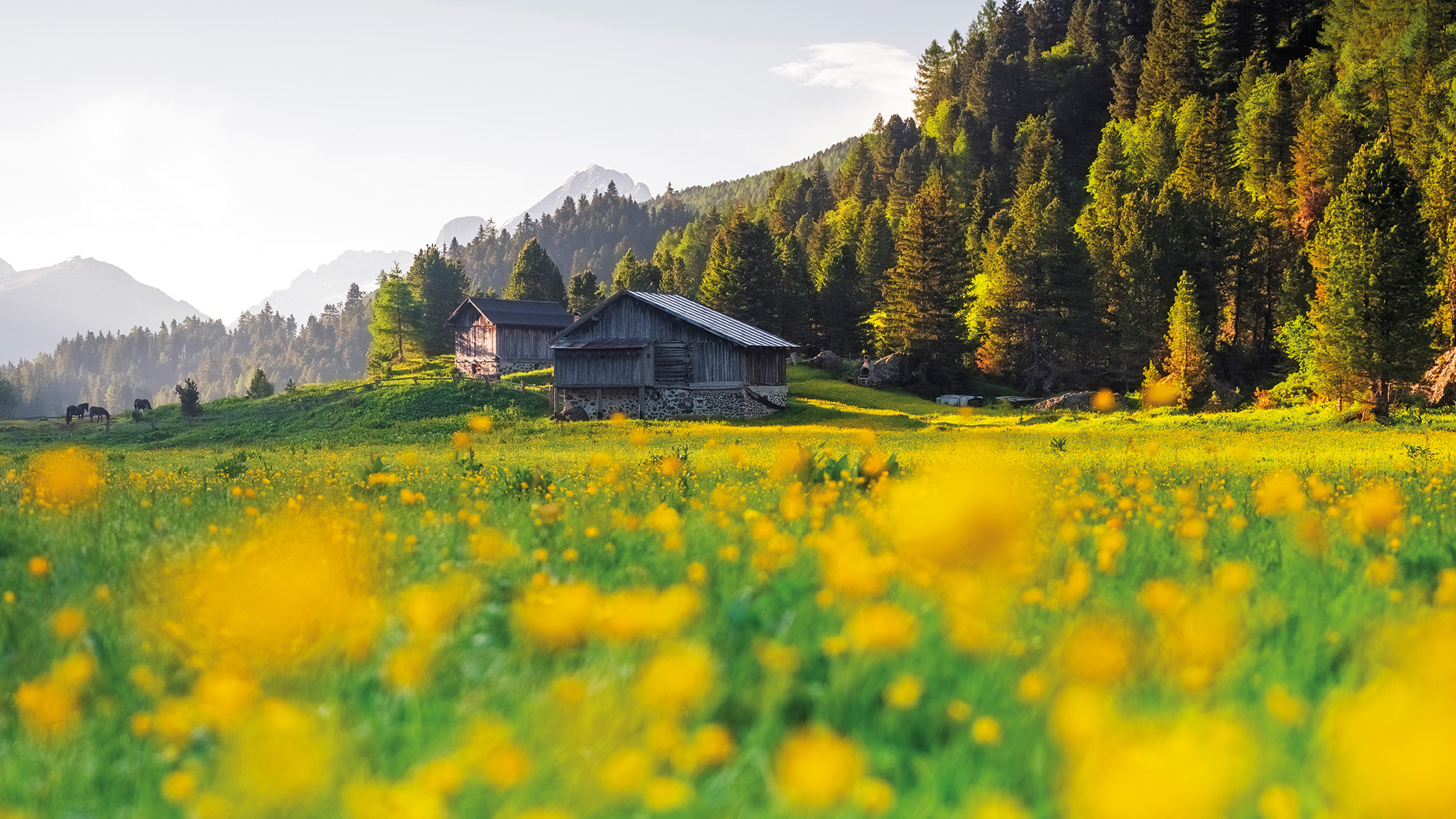 immagine di copertina itinerario Il turismo non convenzionale elemento equilibratore del sistema di sviluppo turistico territoriale
